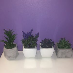 Four Faux Succulents